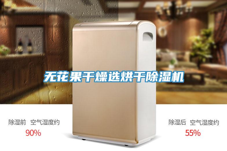 無(wú)花果干燥選烘干除濕機