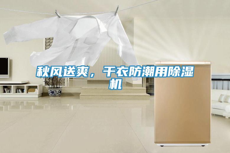 秋風(fēng)送爽，干衣防潮用除濕機