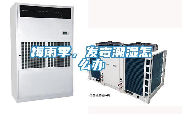 梅雨季，發(fā)霉潮濕怎么辦