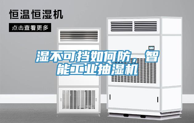 濕不可擋如何防，智能工業(yè)抽濕機