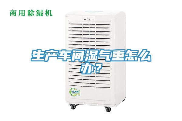 生產(chǎn)車(chē)間濕氣重怎么辦？