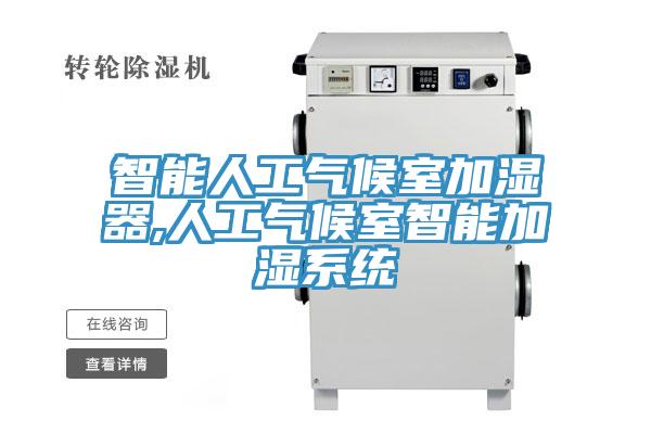 智能人工氣候室加濕器,人工氣候室智能加濕系統