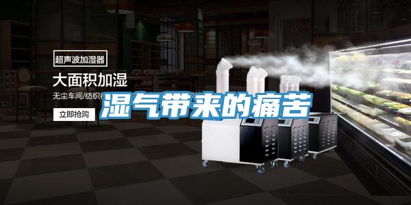 濕氣帶來(lái)的痛苦