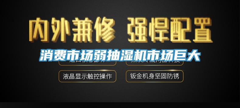 消費市場(chǎng)弱抽濕機市場(chǎng)巨大