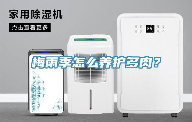 梅雨季怎么養護多肉？