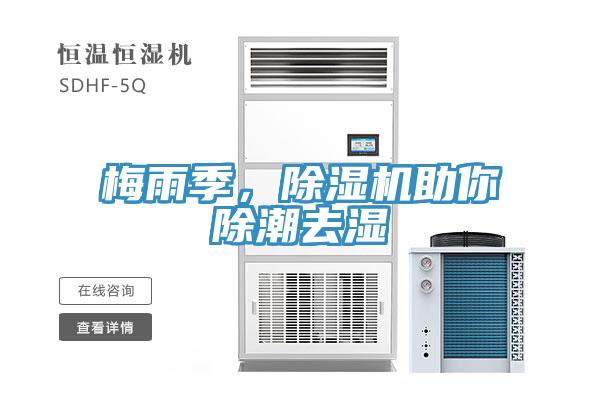 梅雨季，除濕機助你除潮去濕