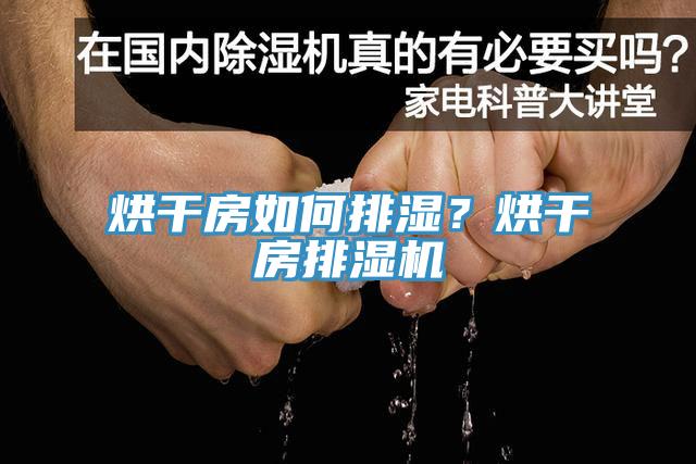 烘干房如何排濕？烘干房排濕機