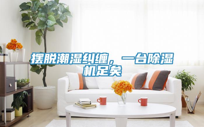 擺脫潮濕糾纏，一臺除濕機足矣