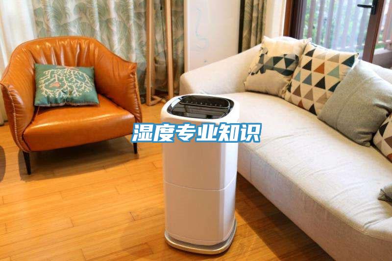 濕度專(zhuān)業(yè)知識