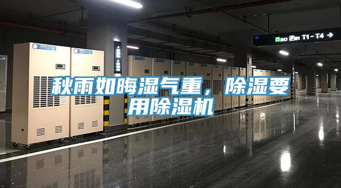 秋雨如晦濕氣重，除濕要用除濕機