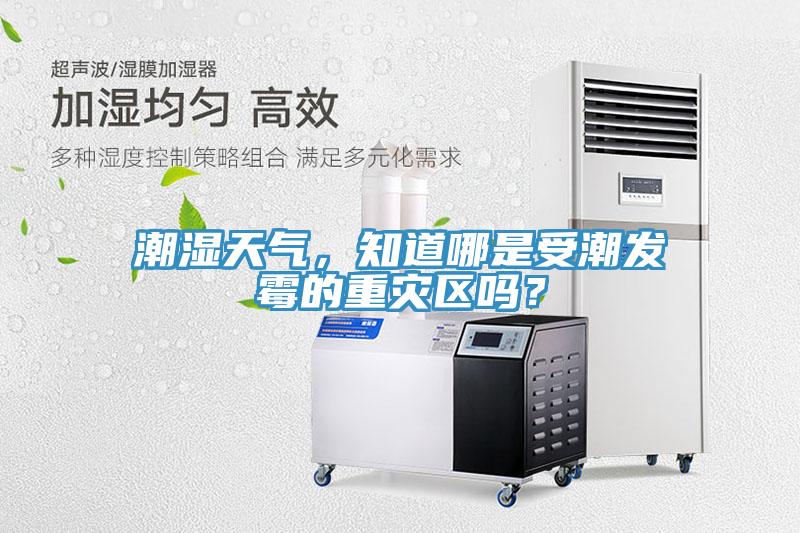 潮濕天氣，知道哪是受潮發(fā)霉的重災區嗎？