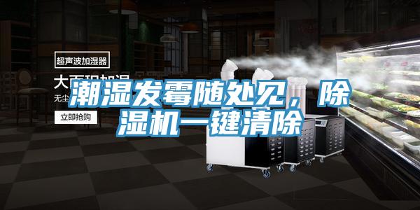 潮濕發(fā)霉隨處見(jiàn)，除濕機一鍵清除