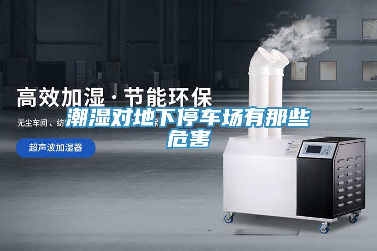 潮濕對地下停車(chē)場(chǎng)有那些危害