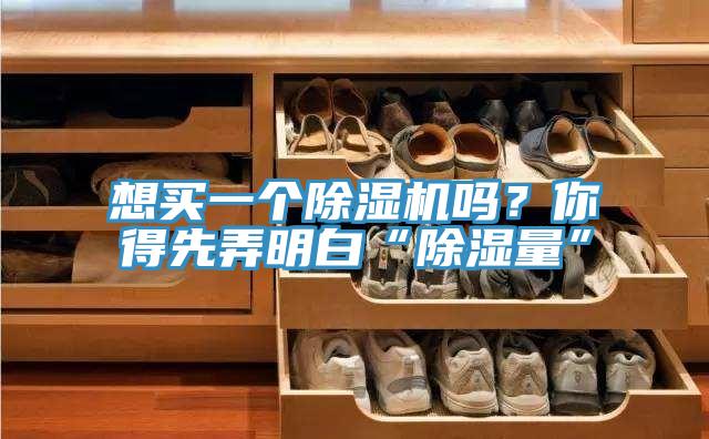 想買(mǎi)一個(gè)除濕機嗎？你得先弄明白“除濕量”