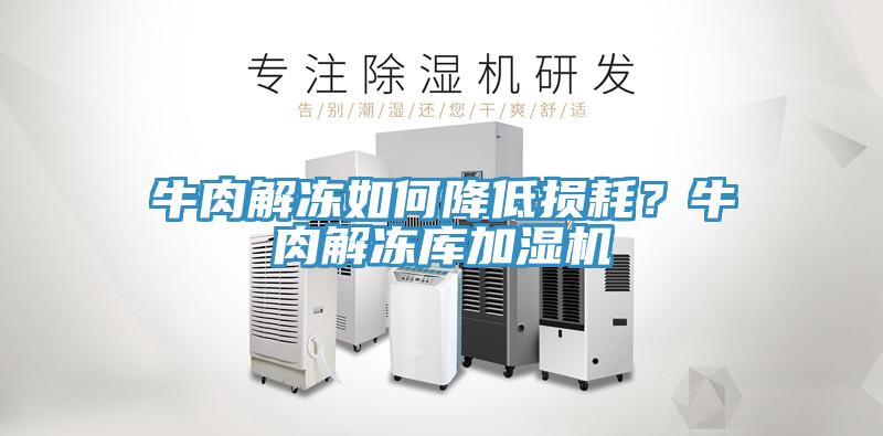 牛肉解凍如何降低損耗？牛肉解凍庫加濕機