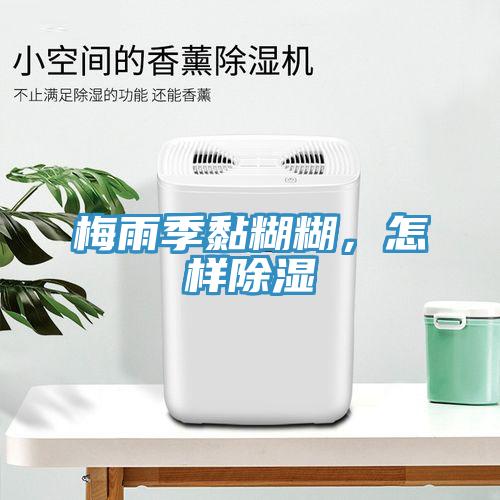 梅雨季黏糊糊，怎樣除濕