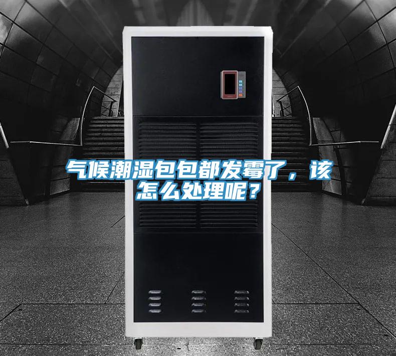 氣候潮濕包包都發(fā)霉了，該怎么處理呢？