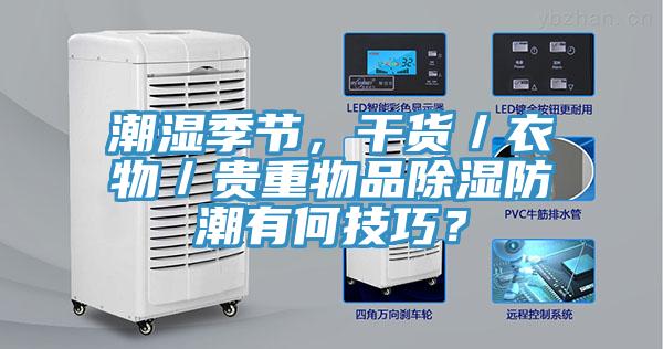 潮濕季節，干貨／衣物／貴重物品除濕防潮有何技巧？