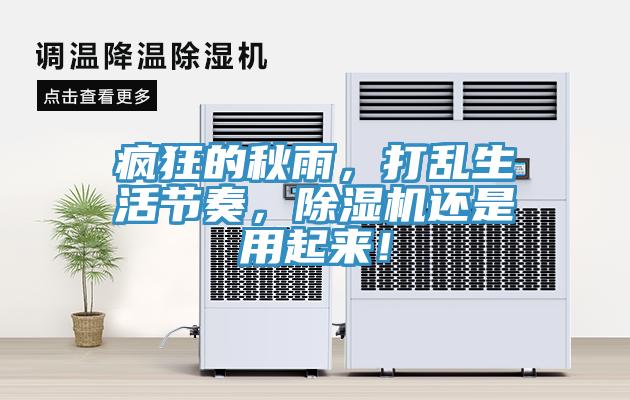 瘋狂的秋雨，打亂生活節奏，除濕機還是用起來(lái)！