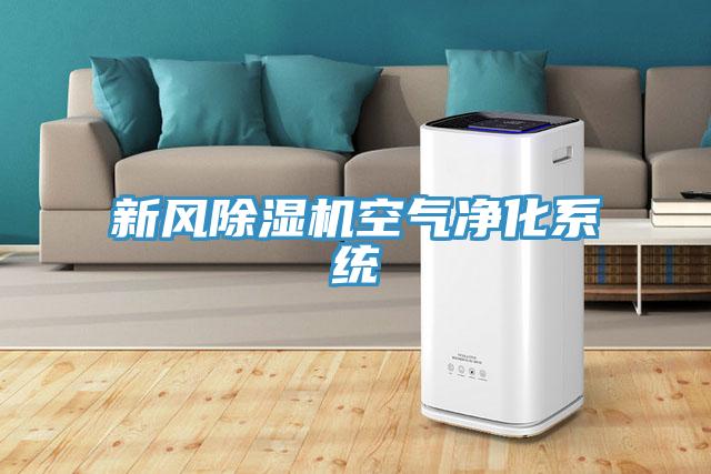 新風(fēng)除濕機空氣凈化系統