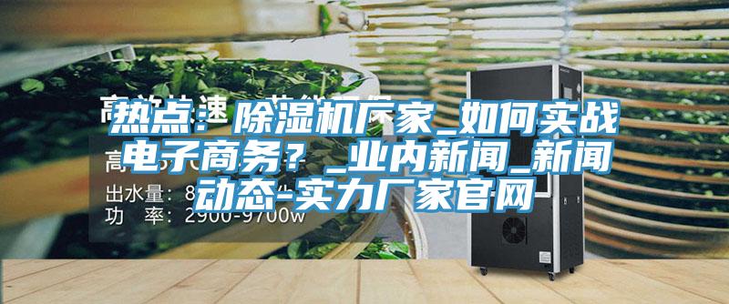熱點(diǎn)：除濕機廠(chǎng)家_如何實(shí)戰電子商務(wù)？_業(yè)內新聞_新聞動(dòng)態(tài)-實(shí)力廠(chǎng)家官網(wǎng)