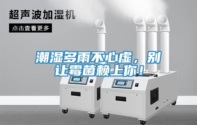 潮濕多雨不心虛，別讓霉菌賴(lài)上你！