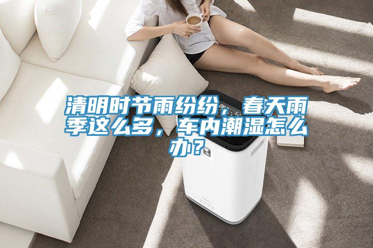 清明時(shí)節雨紛紛，春天雨季這么多，車(chē)內潮濕怎么辦？
