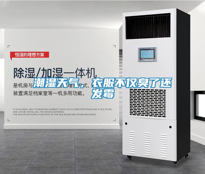 潮濕天氣，衣服不僅臭了還發(fā)霉