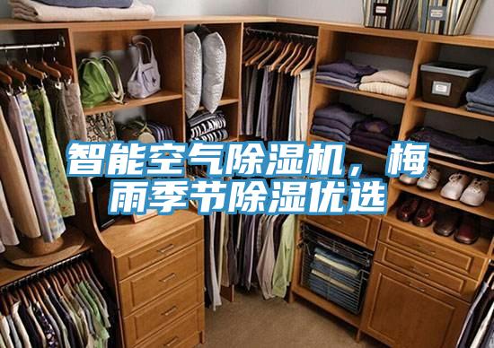 智能空氣除濕機，梅雨季節除濕優(yōu)選