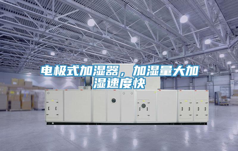 電極式加濕器，加濕量大加濕速度快