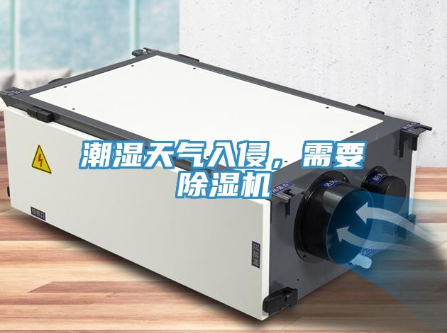 潮濕天氣入侵，需要除濕機