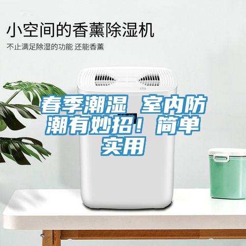 春季潮濕 室內防潮有妙招！簡(jiǎn)單實(shí)用