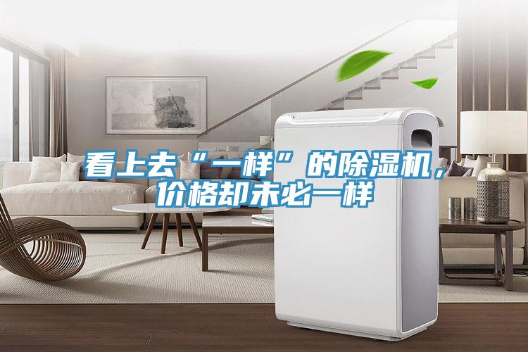 看上去“一樣”的除濕機，價(jià)格卻未必一樣