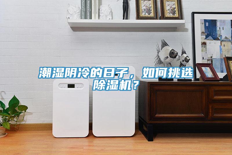 潮濕陰冷的日子，如何挑選除濕機？