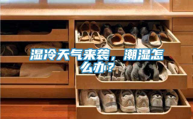 濕冷天氣來(lái)襲，潮濕怎么辦？