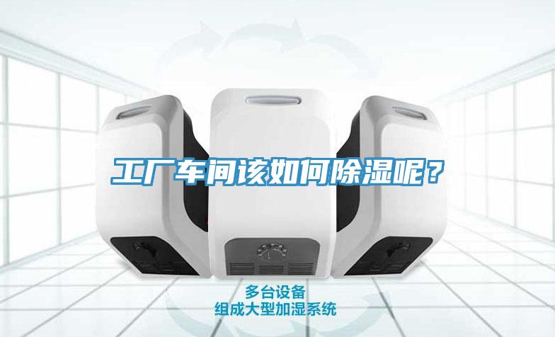 工廠(chǎng)車(chē)間該如何除濕呢？