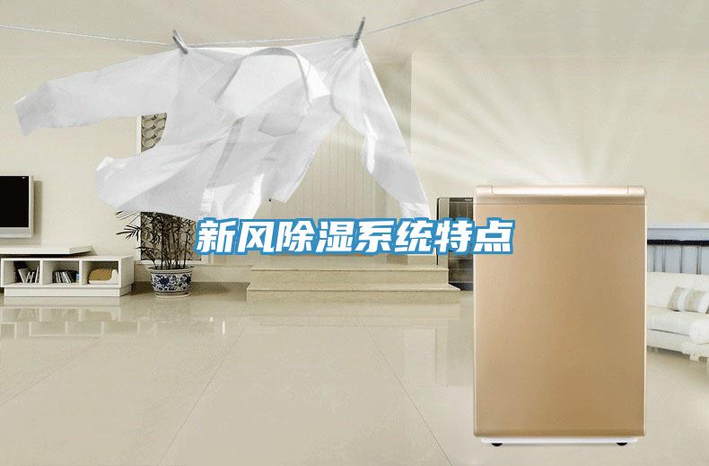 新風(fēng)除濕系統特點(diǎn)