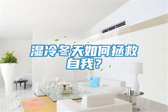 濕冷冬天如何拯救自我？