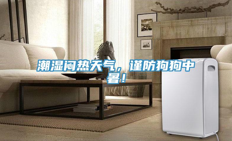 潮濕悶熱天氣，謹防狗狗中暑！