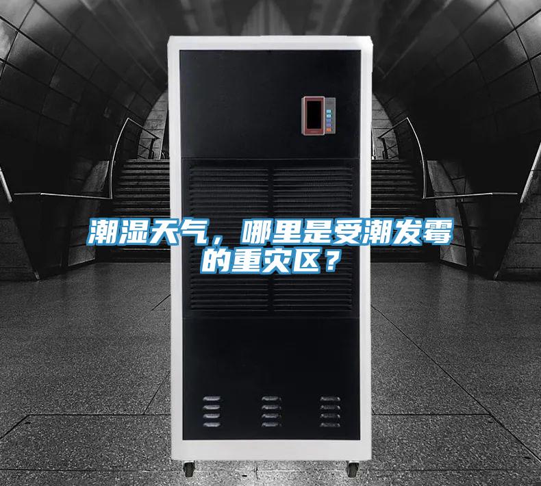 潮濕天氣，哪里是受潮發(fā)霉的重災區？