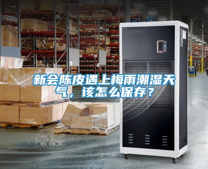 新會(huì )陳皮遇上梅雨潮濕天氣，該怎么保存？