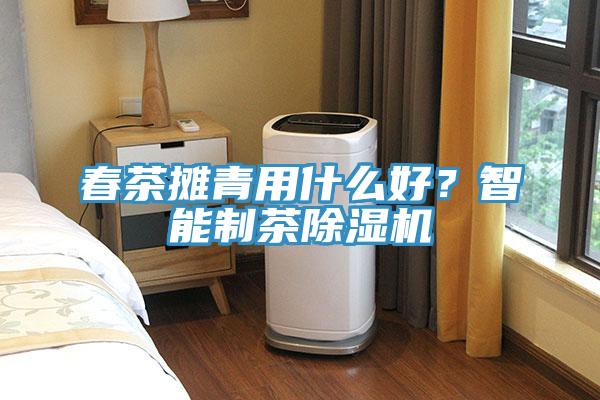 春茶攤青用什么好？智能制茶除濕機