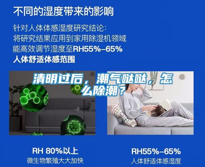 清明過(guò)后，潮氣噠噠，怎么除潮？