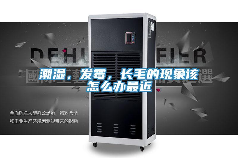 潮濕，發(fā)霉，長(cháng)毛的現象該怎么辦最近