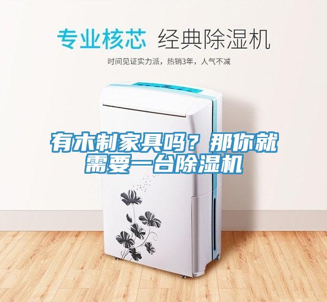 有木制家具嗎？那你就需要一臺除濕機