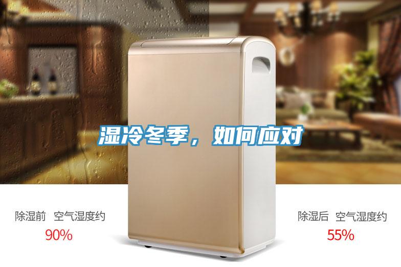 濕冷冬季，如何應對