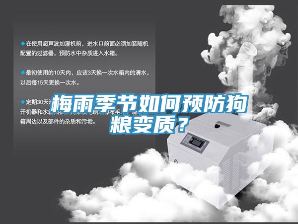 梅雨季節如何預防狗糧變質(zhì)？