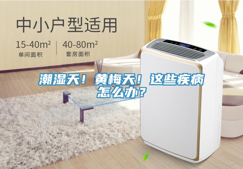 潮濕天！黃梅天！這些疾病怎么辦？