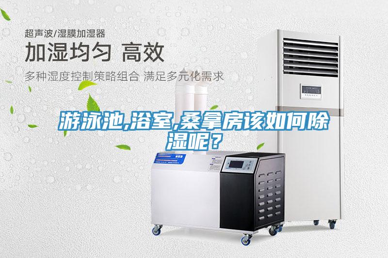 游泳池,浴室,桑拿房該如何除濕呢？