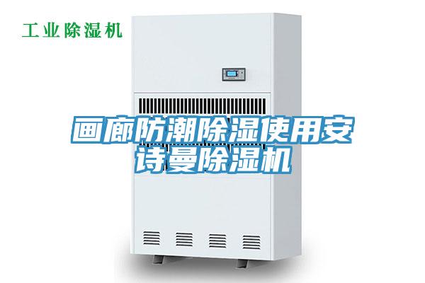 畫(huà)廊防潮除濕使用安詩(shī)曼除濕機